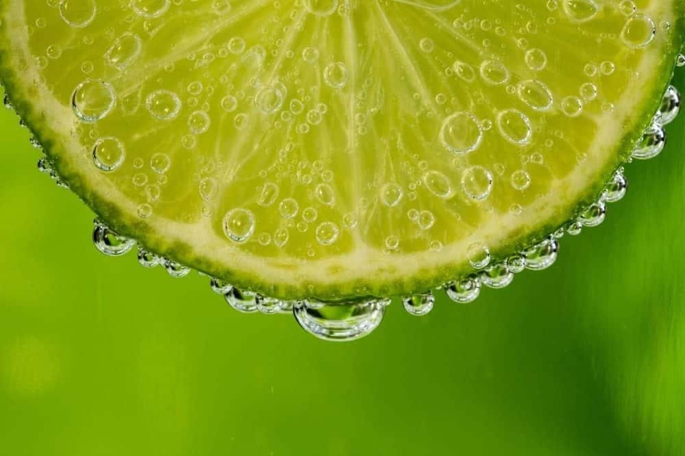 Bar Harbor Margarita Crawl