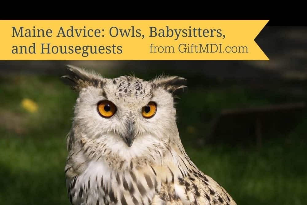 Maine Advice: Chimney Owls, Alternative Babysitters, and Unscheduled Houseguests