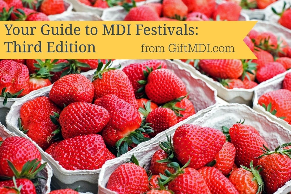 Your Guide To MDI Festivals: Island Wide Edition