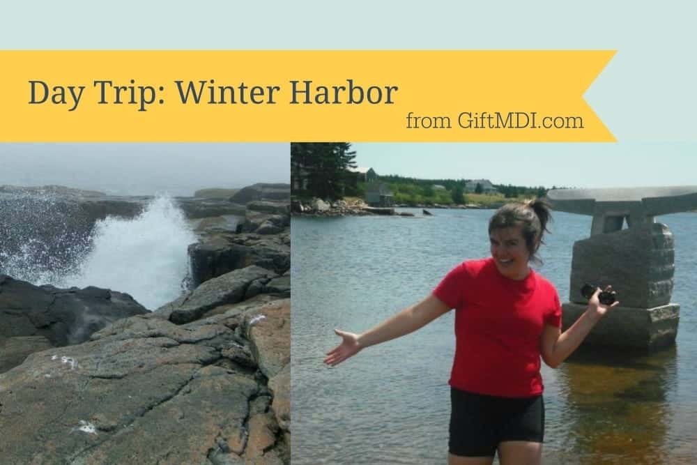 Day Trip: Winter Harbor