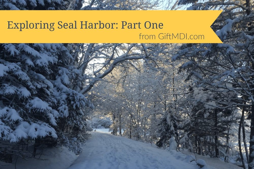 Exploring Seal Harbor Part 1: Downtown