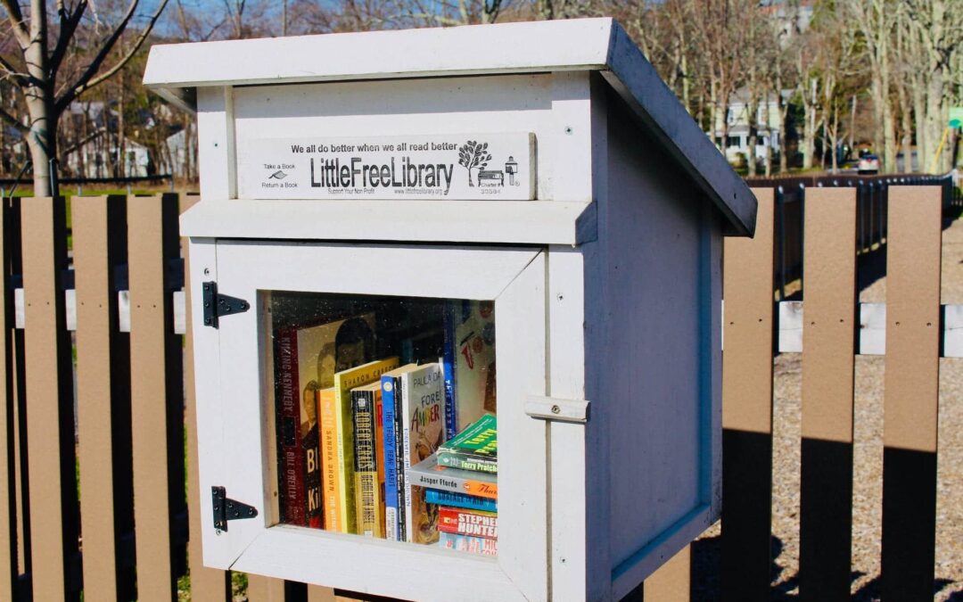Little Free Libraries On MDI And Nearby